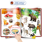 English Sound Book The World Around You