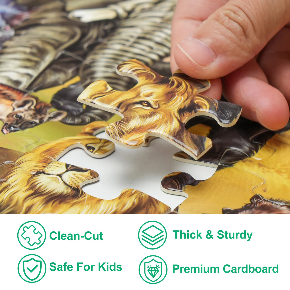 Puzzles for Kids Ages